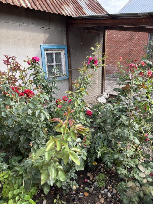 Продам отдельно стоящий дом