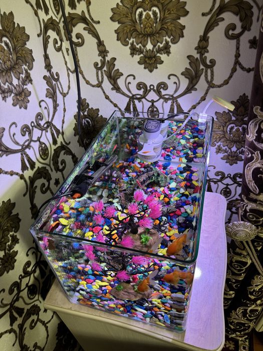 Аквариум сотилади 40 л