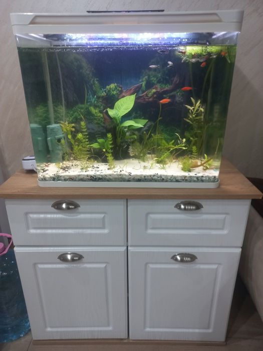 Аквариум и шкаф!