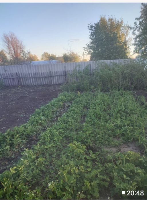 Продам дачу в СО Пригородное  .5соток