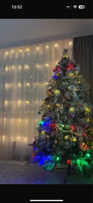 Аренда Елки разные