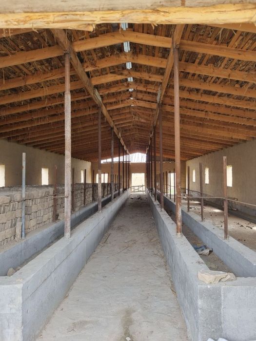 Участок с фермой