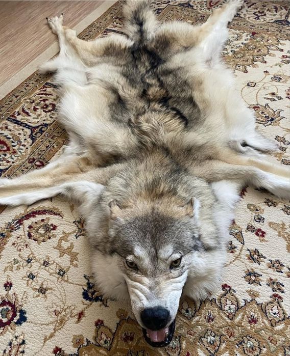 Продам коврик волчьи