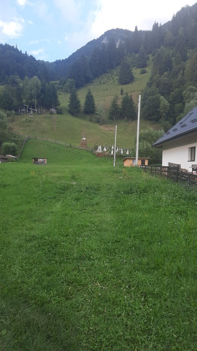 Teren oferta buna 600 mp