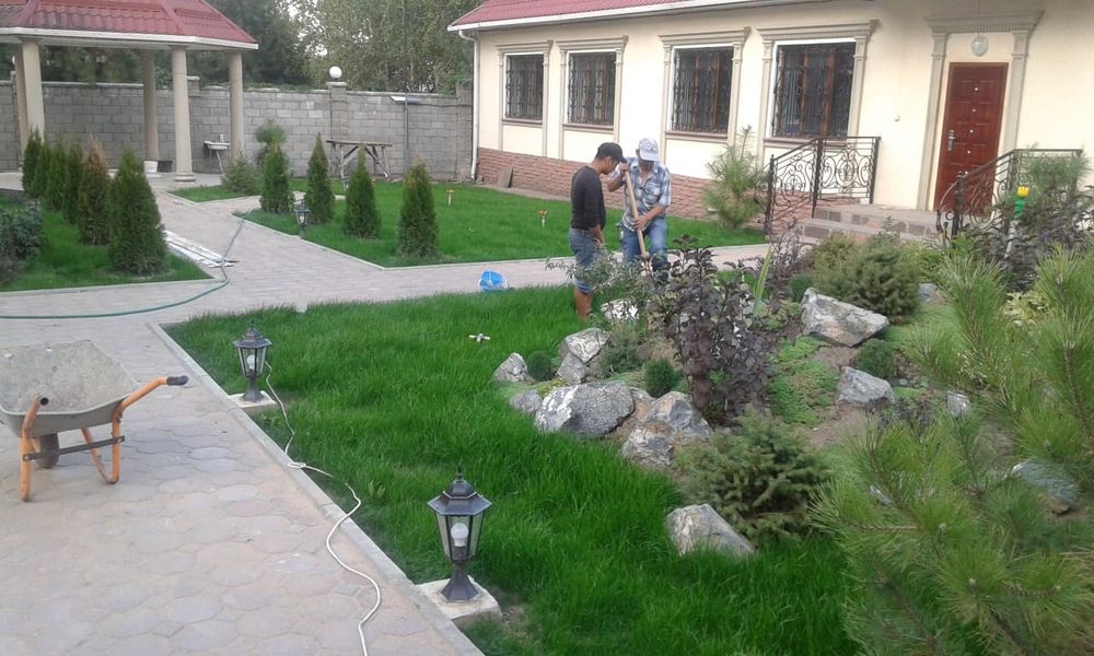 Рулонный газон, газон под ключ