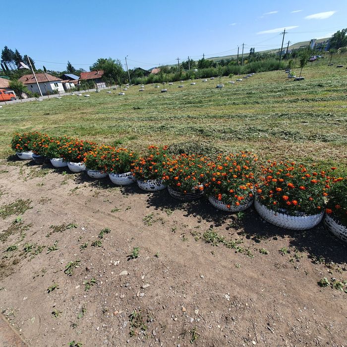 Vând urgent teren intravilan