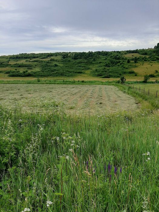 Vand teren in Sat Pata , cu front 40m, utilitati : apa, canalizare 2900mp