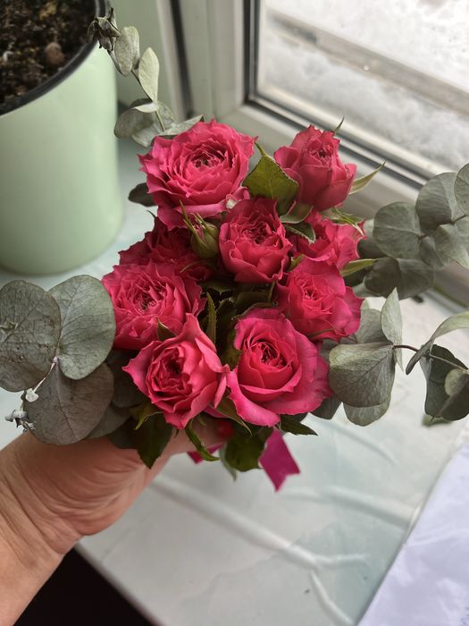 Три букета , 1000, 1700, 2900, 9900