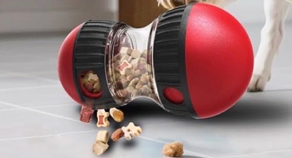 Jucarie catei Amazon