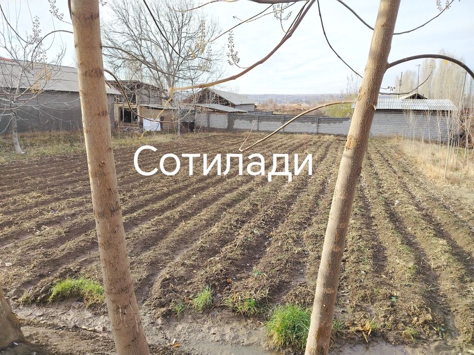 Участка йэр 6 сотик