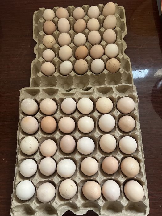 Яички домашние свежие