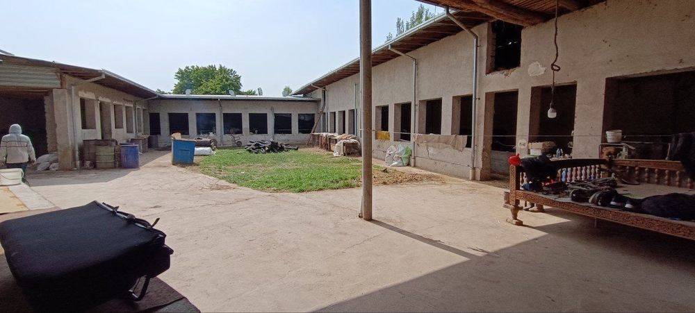 Ferma sotiladi 10 sotik