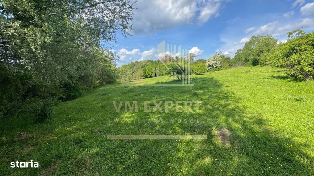 Teren Intravilan 2943 Mp Campulung