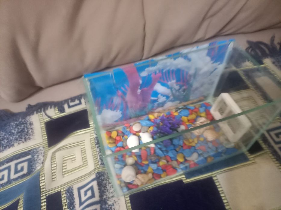 Продам 4л аквариум