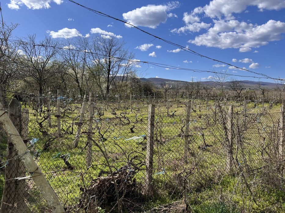 Vand casa din paianta, S 100 mp, teren intravilan 3200 mp, Poiana Varsaturii, com. Jaristea