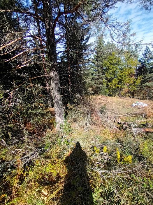 Продава се Земеделски имот в Банско -  кв.м за 40800 €/дка - Снимка #2