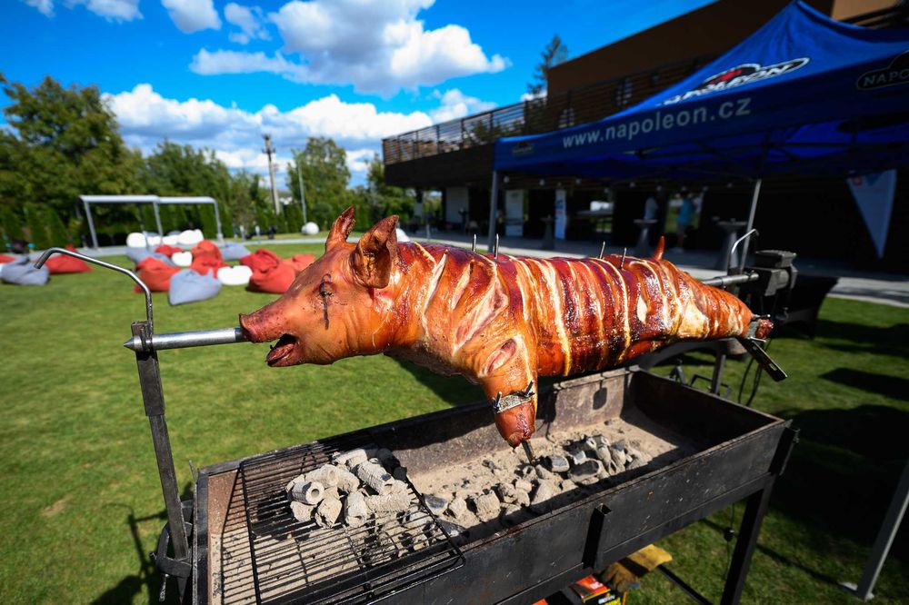 PROTAP BBQ live show grill smoker gatit vitel purcel berbecut bucatar