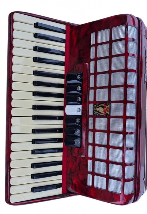 Acordeon Parrot  96 basi roau