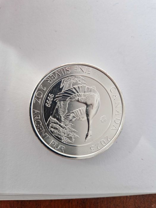 Moneda Canada 10 Dollars Charles III-2025-Argint 999-2 Oz-2Unicii.