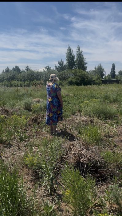 Сдам дачный участок бесплатно