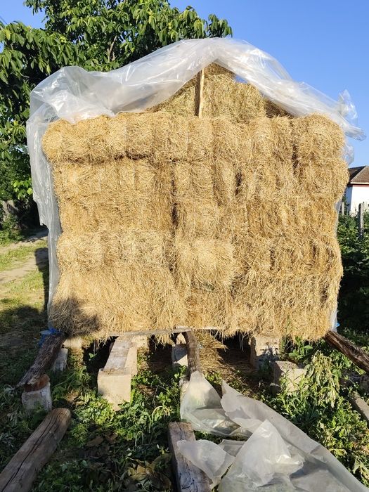 Baloți de vânzare de iarbă iarbă cu lucernă şi lucernă