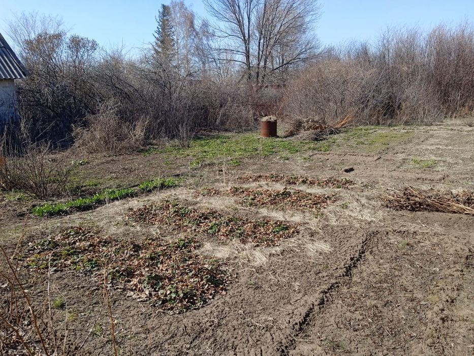 Продам дачу сад Северный