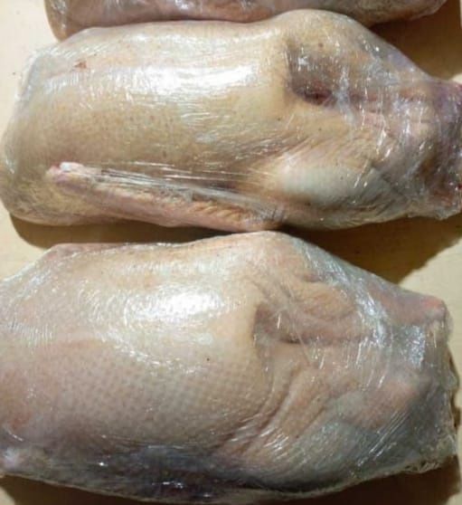 Продам тушки домашних гусей