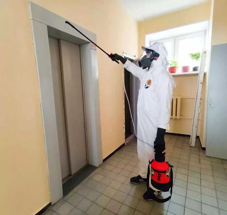 Dezinfeksiya | dizinfeksiya | дезинфекция | дизинфекция |klapa | клапа