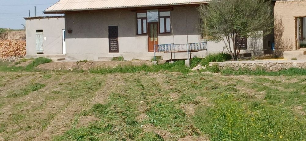 Uy joy sotiladi. Hoxlovchilar yer ham olishi mumkin