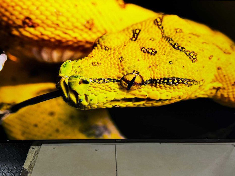 Телевизор Xiaomi A PRO 55 inch