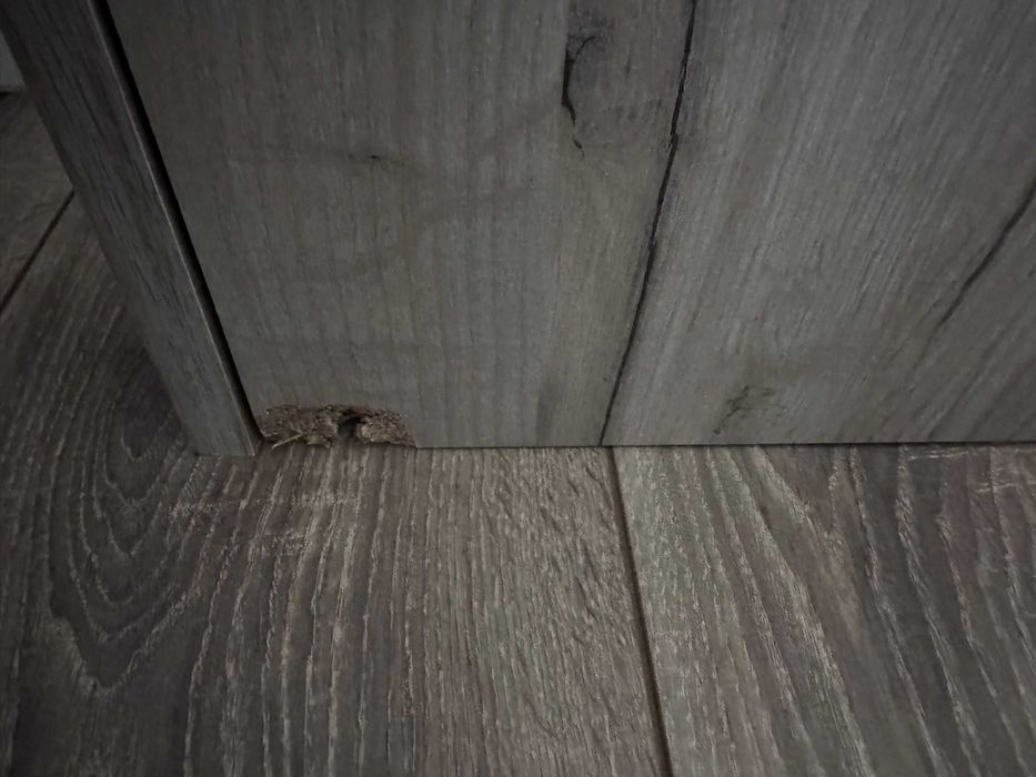 Comoda hol, cu 2 usi + 2 sertare