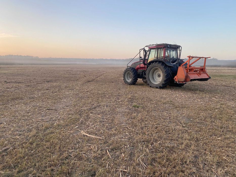 Elimina ambrozia ! curatare teren de ambrozie si alta vegetatie