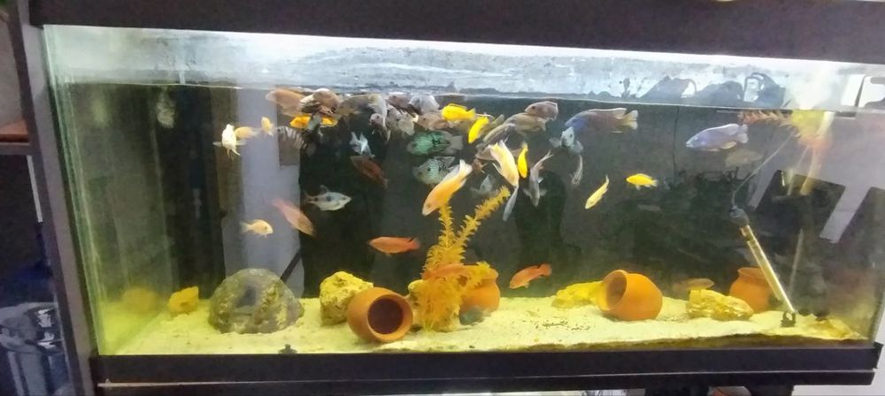 Продаётся аквариум