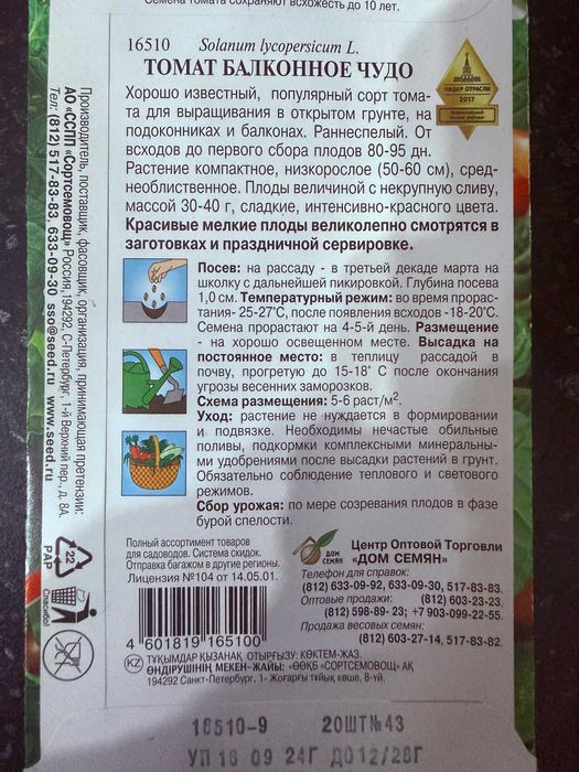 Балконная рассада помидоры перец огурцы