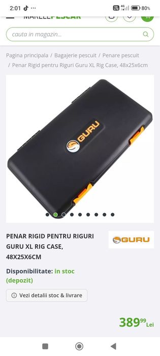 Cutie depozitare riguri GURU