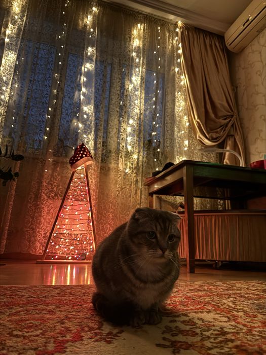 Декоративная Елка