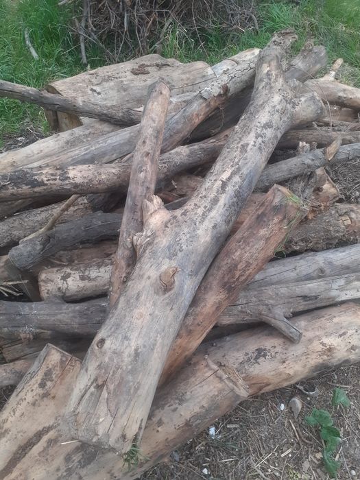 Продам дрова карагаш