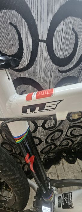 Specialized stumpjumper