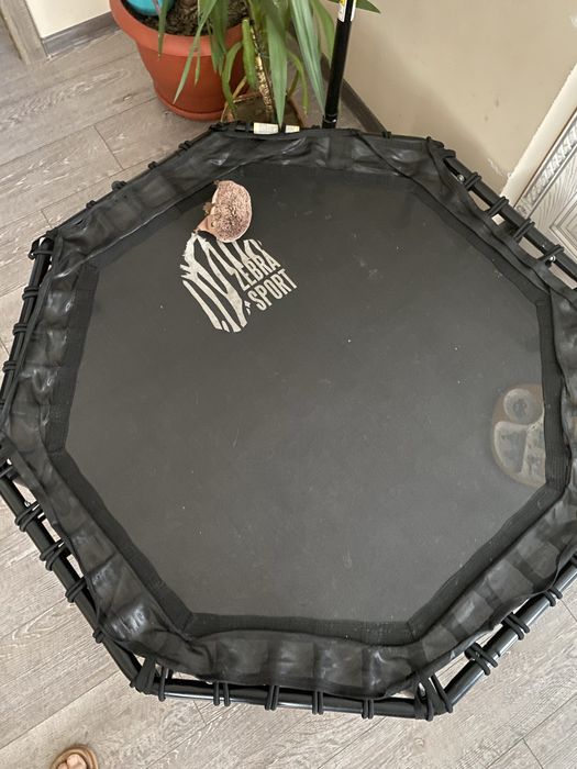 Продам батут для домашнего пользования