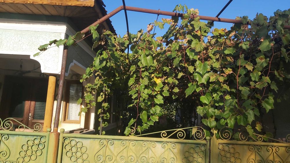 Casa bătrânească de vânzare