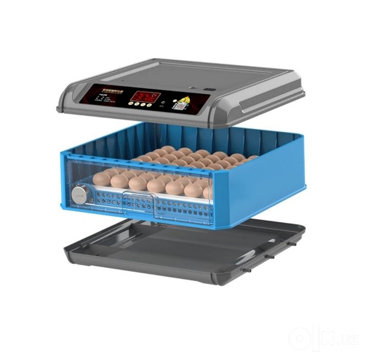 Inkubator 48 talik