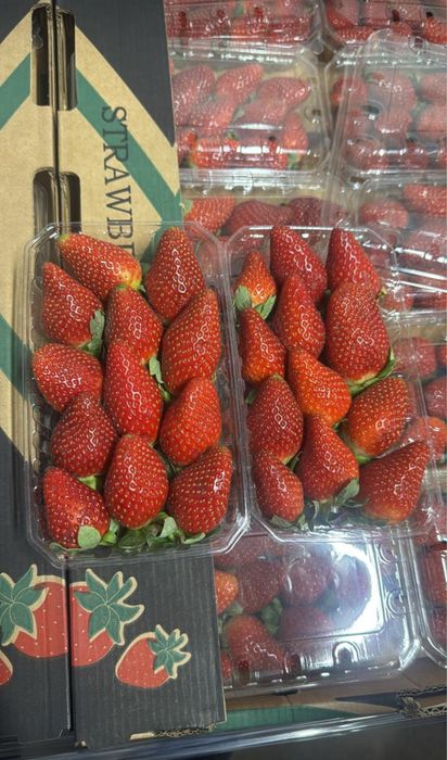 Клубника оптом и в розницу