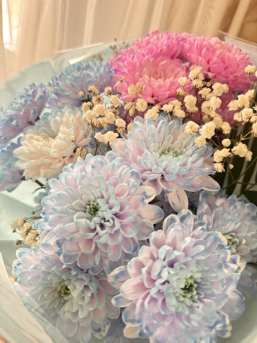 Продам цветы свежие