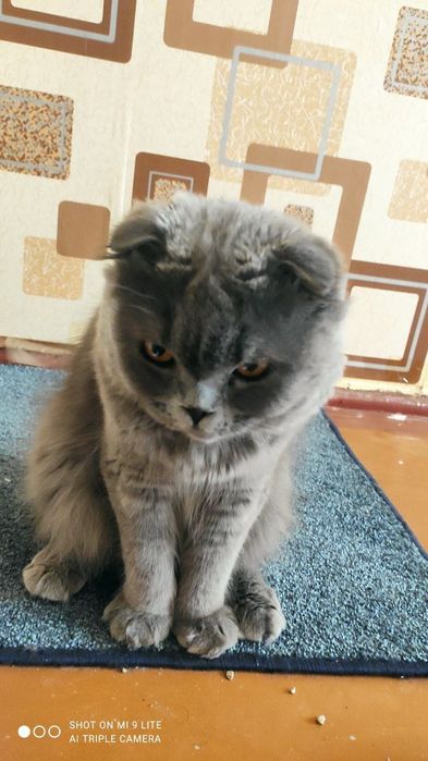 Sjdkdjdjsjxosjd djdo