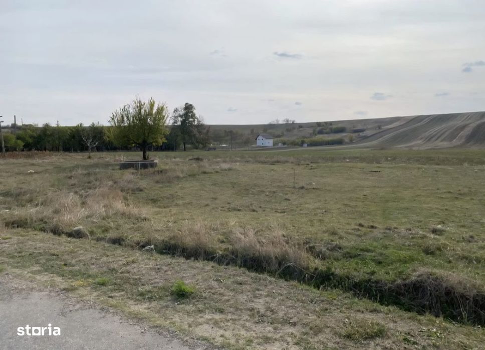 Teren extravilan 5000mp, Malu Mare, 0 comision la cumparator