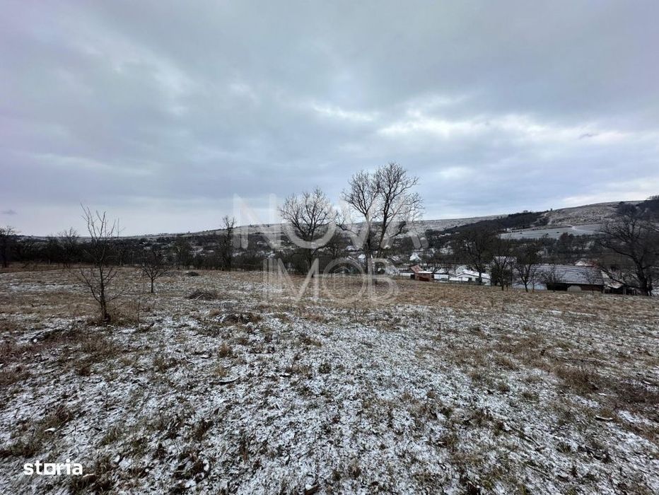 Casa individuala cu teren generos – 8.356 mp – Tichindeal, jud. Sibiu