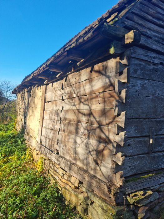 Lemn vechi sura veche lemn stejar cioplit in barda .