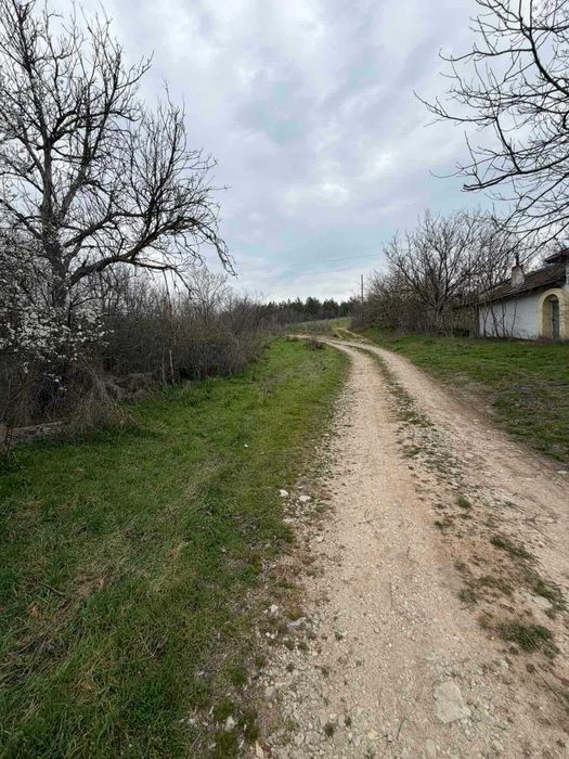 Продава се Парцел в с. Братя Даскалови, Област Стара Загора - 1150 кв.м за 4 €/кв.м - Снимка #7
