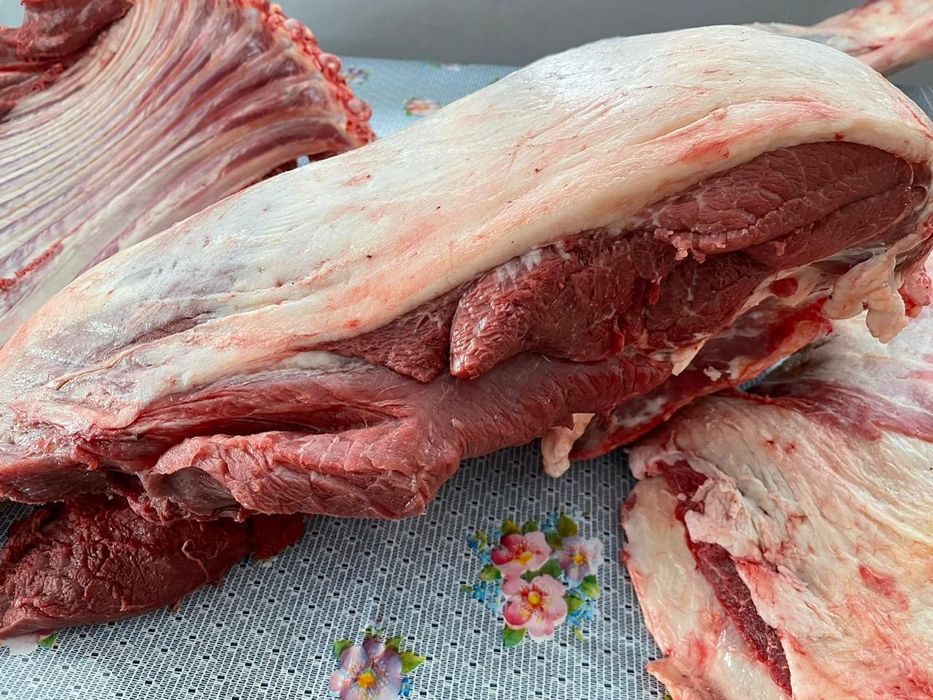 Продам мясо конина.