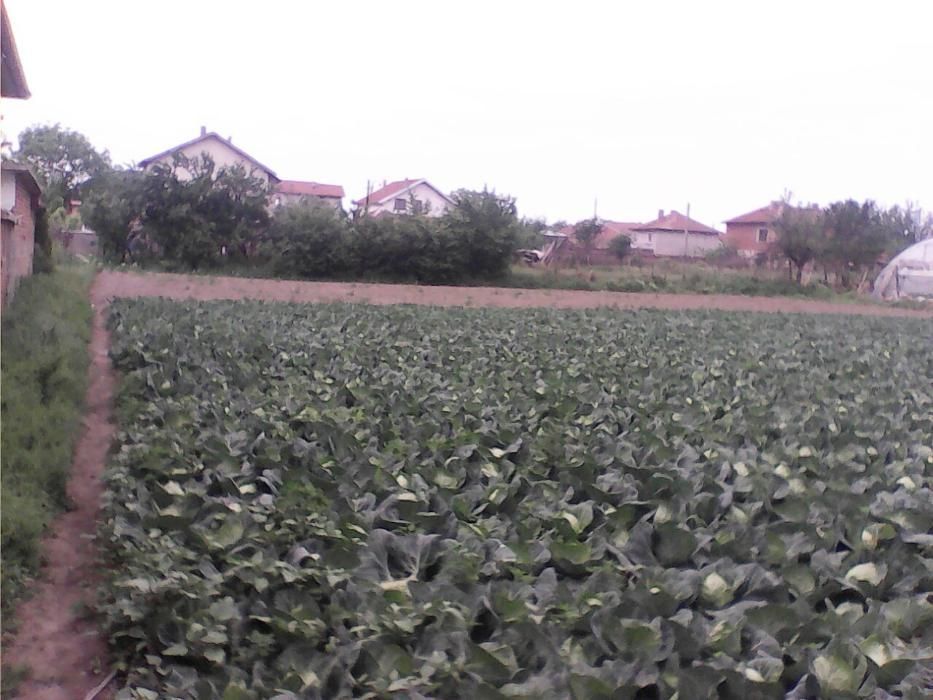 Продава се Парцел в с. Маноле, Област Пловдив - 885 кв.м за 59 €/кв.м - Снимка #3